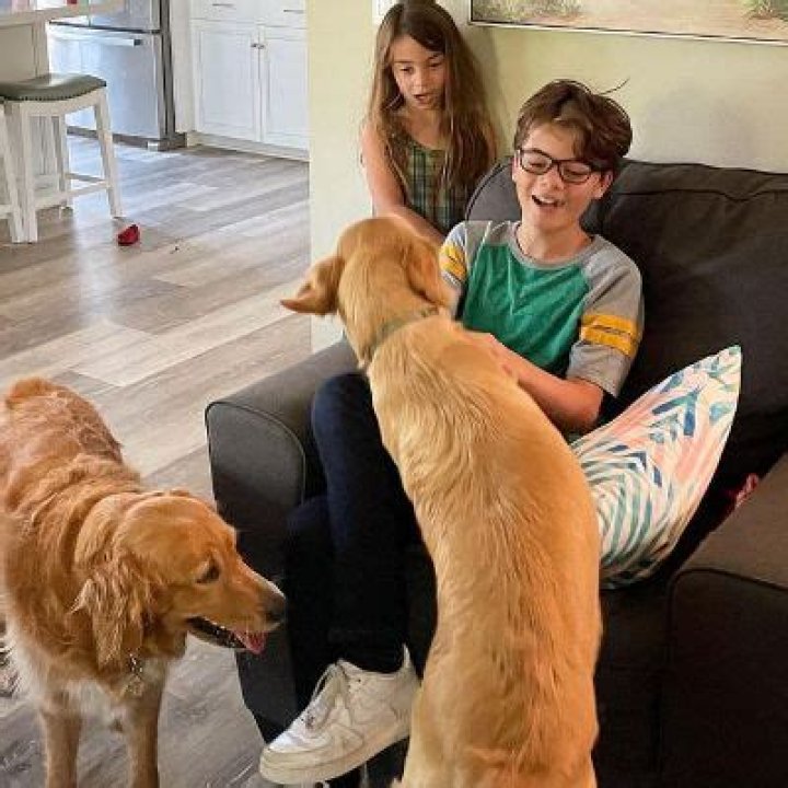 All About Brecken Merrill Net Worth, Bio, Height, Girlfriend, Age, Parents and Sisters