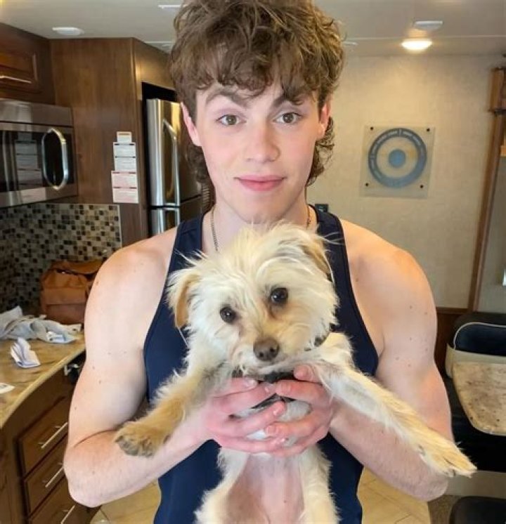 April Rose Pets - Celebrity Pets