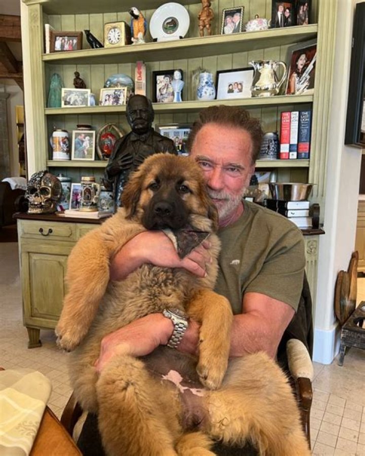 Arnold Schwarzenegger Pets - Celebrity Pets