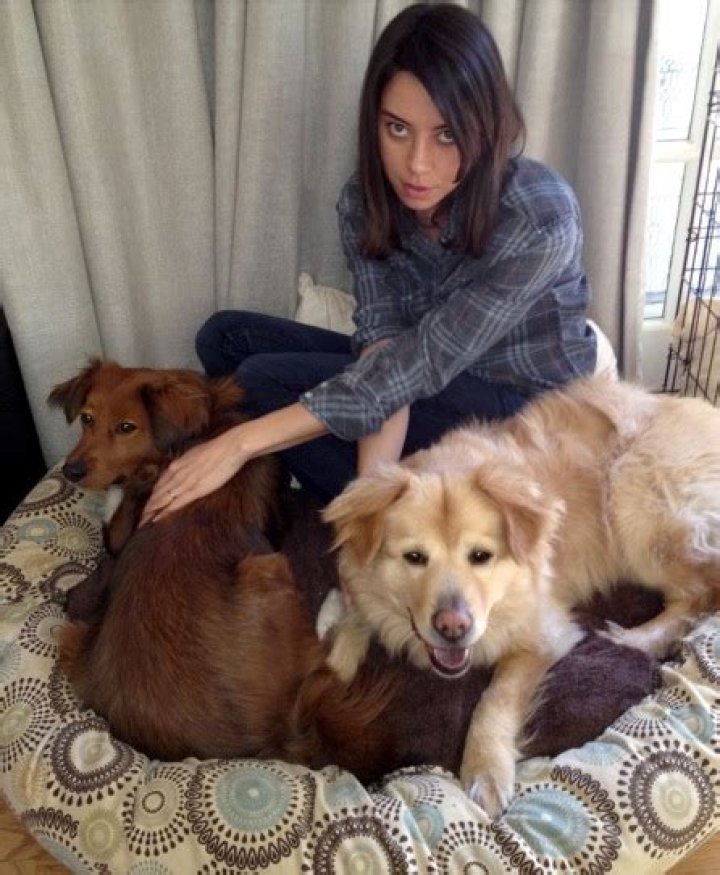 Aubrey Plaza Pets - Celebrity Pets