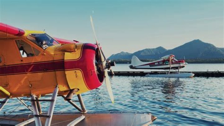 Best Ketchikan Shore Excursions & Excursion Tours