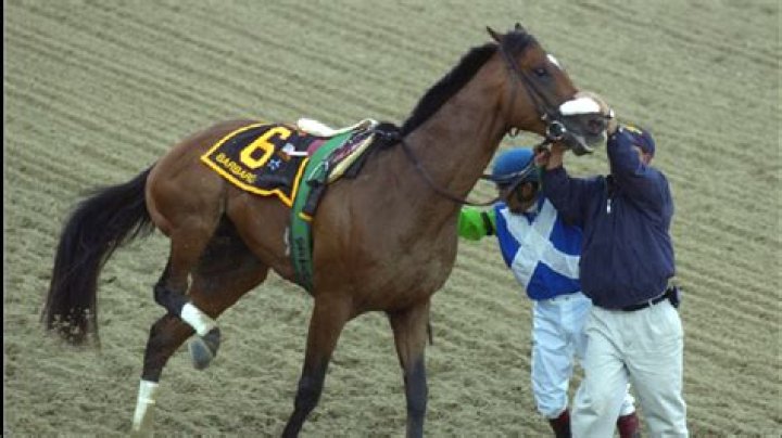 Bruce Walquist Accident, What Happened To Him? Injury Health Update