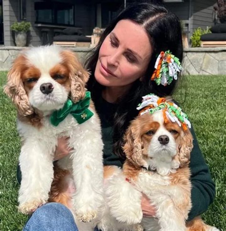 Courteney Cox Pets - Celebrity Pets