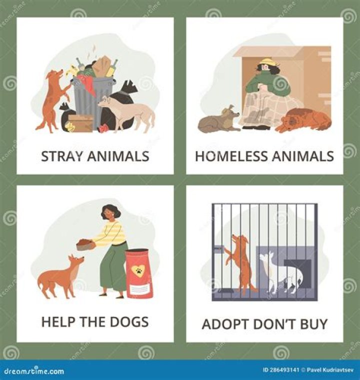 David Eason Considers Starting Animal Rescue for Neighborhood Strays