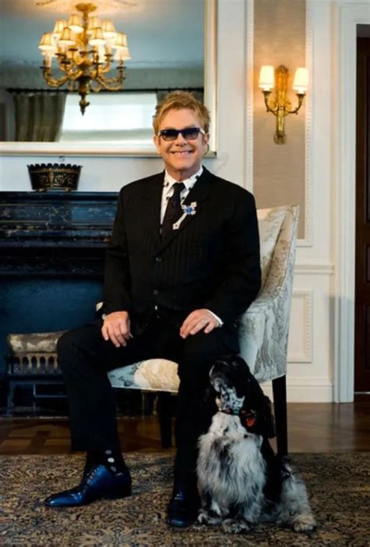 Elton John Pets - Celebrity Pets
