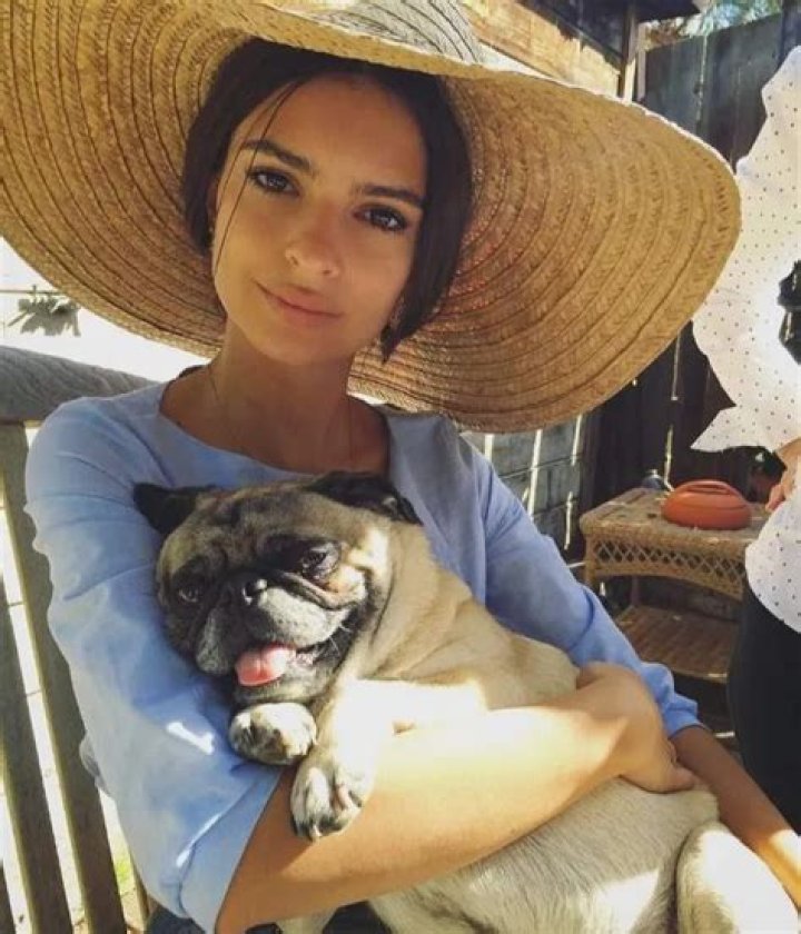 Emily Ratajkowski Pets - Celebrity Pets