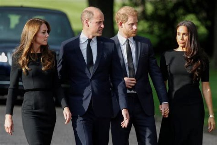 	Fitzwilliams: The Sussexes should be silent if they want Windsor relationships	