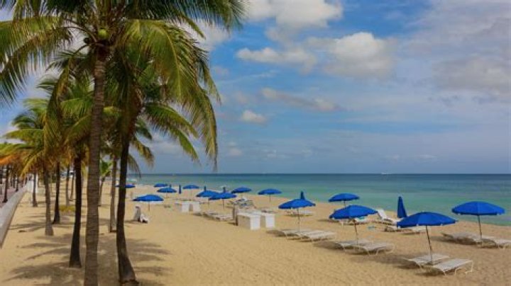 Fort Lauderdale Shore Excursions & Cruise Excursions