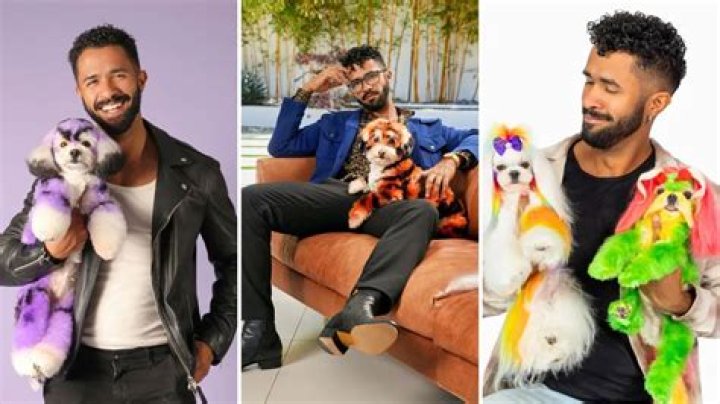 Gabriel Feitosa’s Imaginative Grooming Made $1.3 Million Last Year (and Helps Shelter Dogs Get Adopted)