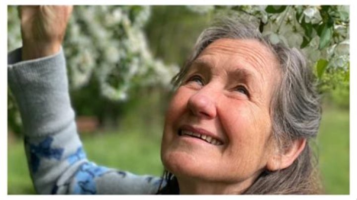 Is Barbara Oneil Missing? What Happened And Where Is She Now?