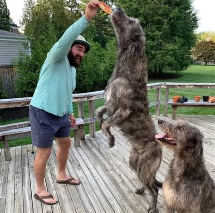 Jason Kelce Pets - Celebrity Pets