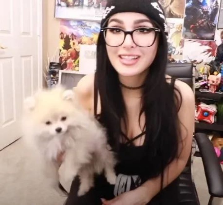 Lia Shelesh (SSSniperWolf) Pets - Celebrity Pets