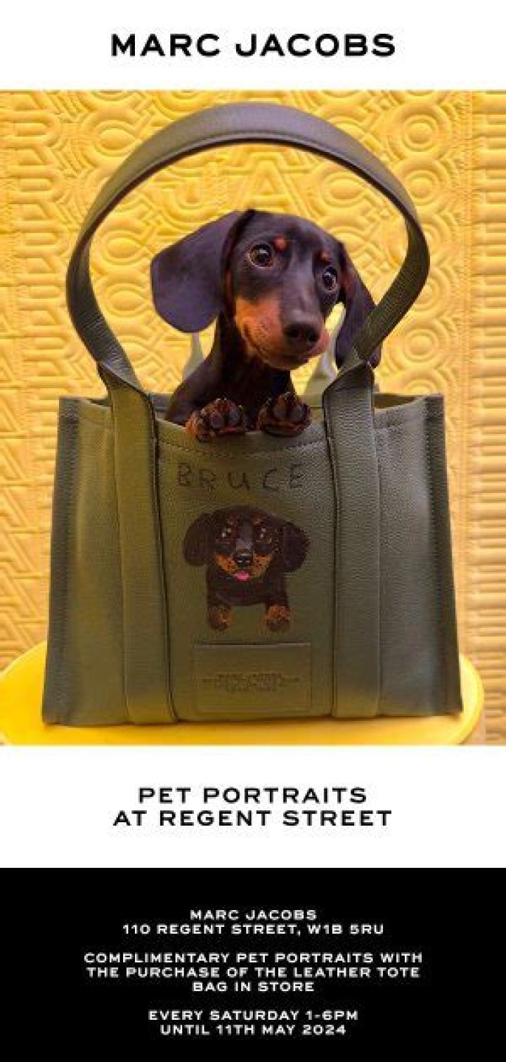 Marc Weiner Pets - Celebrity Pets