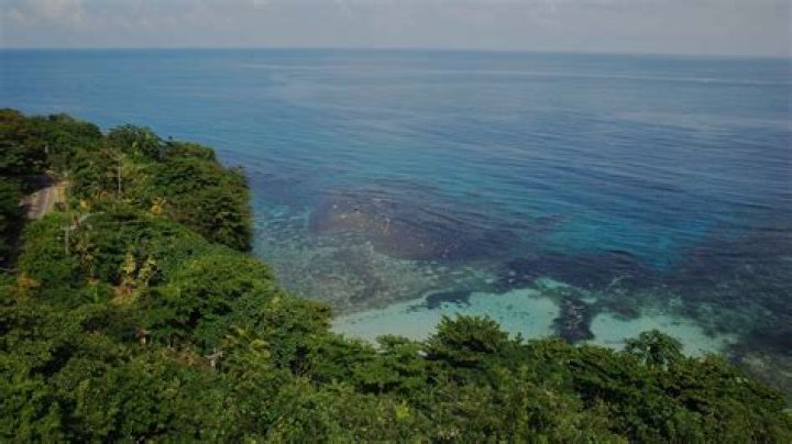 Ocho Rios Cruise: Best Cruises to Ocho Rios