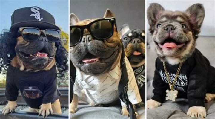 Papa Bear N Lil Mac Are Living the Gangster Frenchie Life