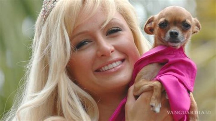 Paris Hilton Adopts $8,000 Chihuahua 1 Year After Tinkerbell Passed Away