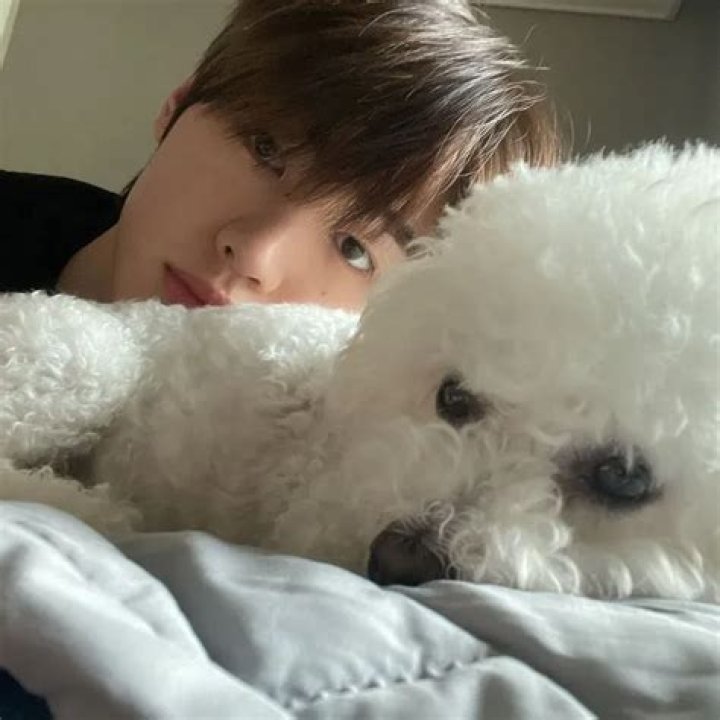 Park Sung-hoon Pets - Celebrity Pets