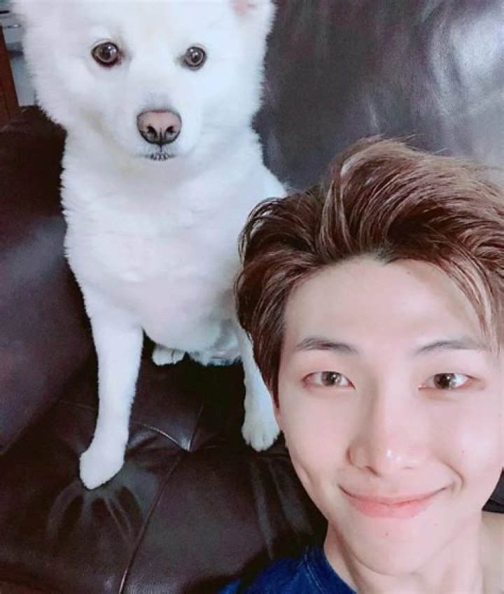 Rap Monster (RM) Pets - Celebrity Pets