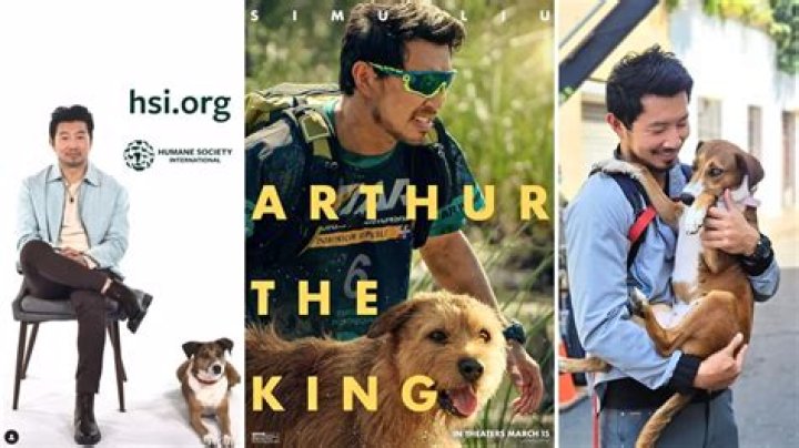 Simu Liu Adopted a Background Dog Actor from ‘Arthur the King’