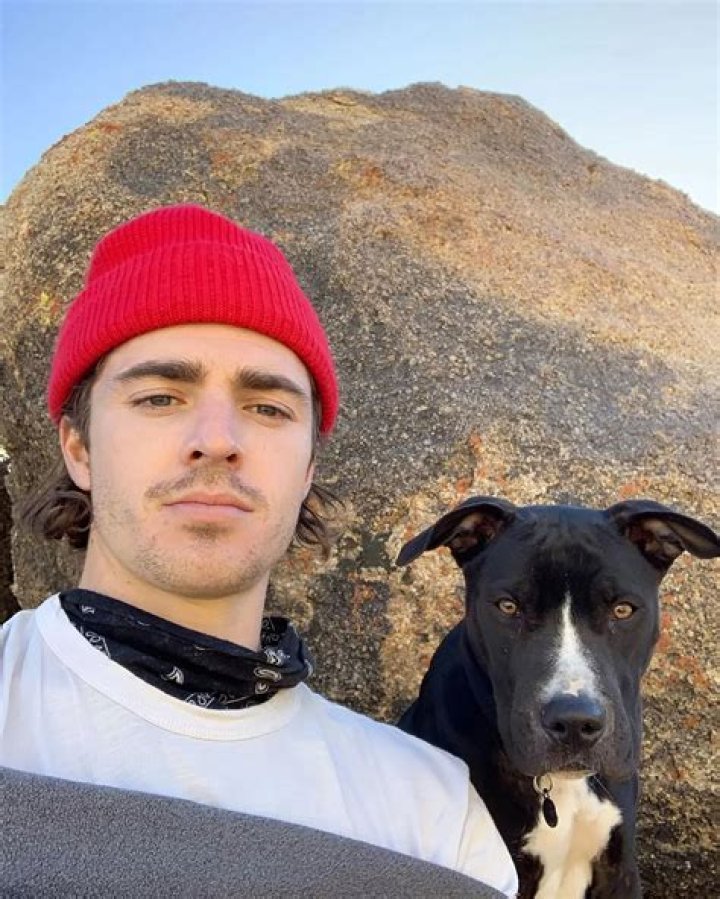 Spencer Neville Pets - Celebrity Pets