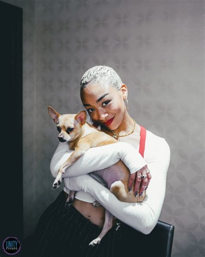Tati Gabrielle Pets - Celebrity Pets