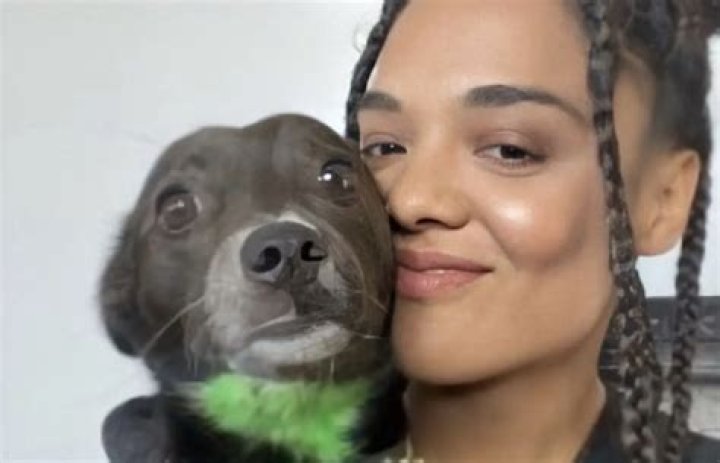 Tessa Thompson Pets - Celebrity Pets