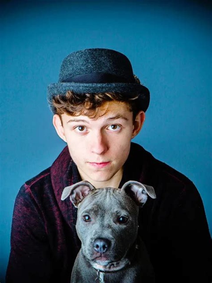 Tom Holland Pets - Celebrity Pets