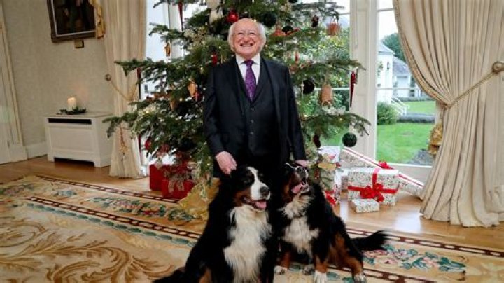 What Kind Of Dog Does The President Of Ireland Have?