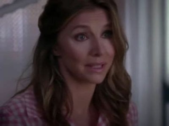 Who Is Sarah Chalke Ex-Fiance? Meet Jamie Afifi