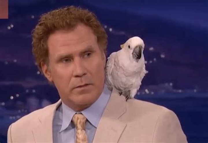 Will Ferrell Pets - Celebrity Pets